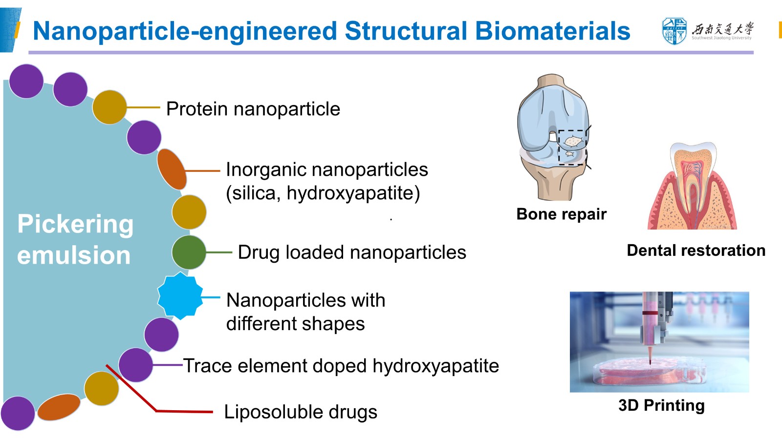 TH-Nanoparticle-Engineered Structural Biomaterials.jpg