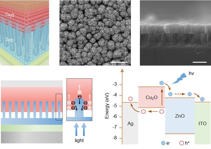 ACS Photonics.png