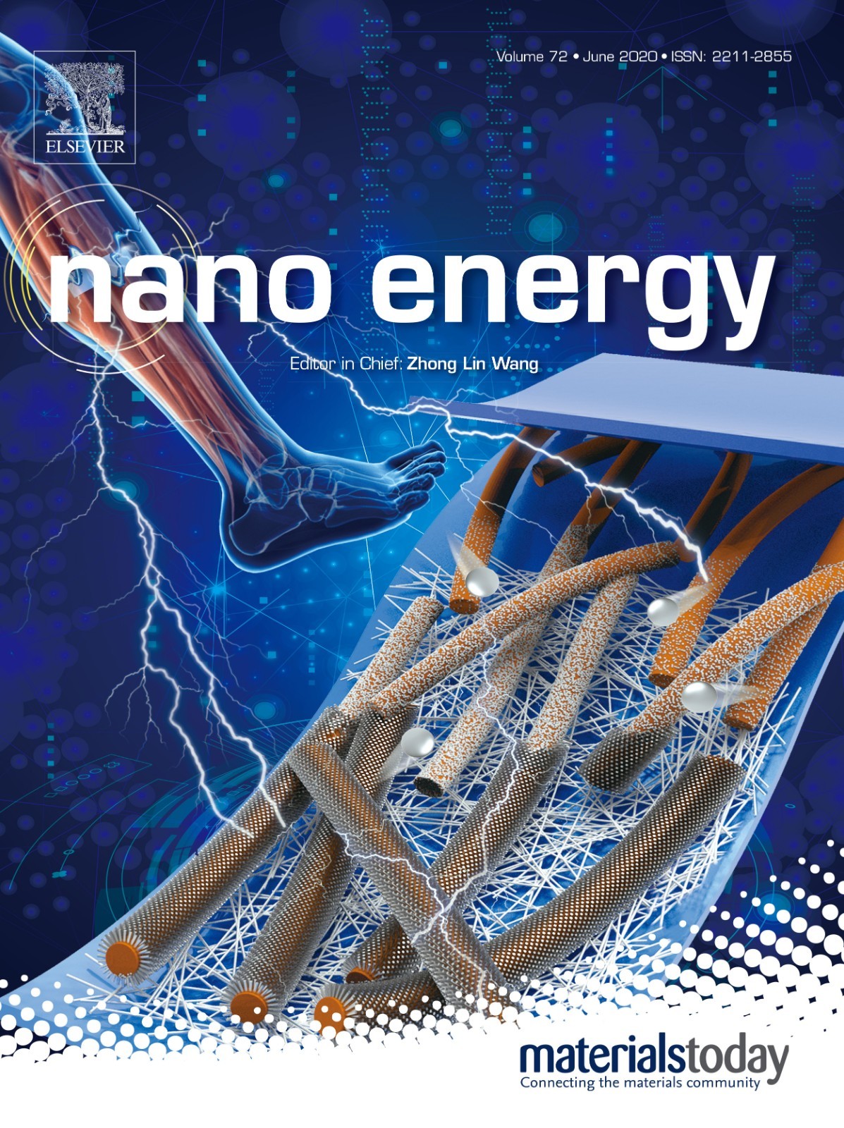 nanoenergy  .jpg